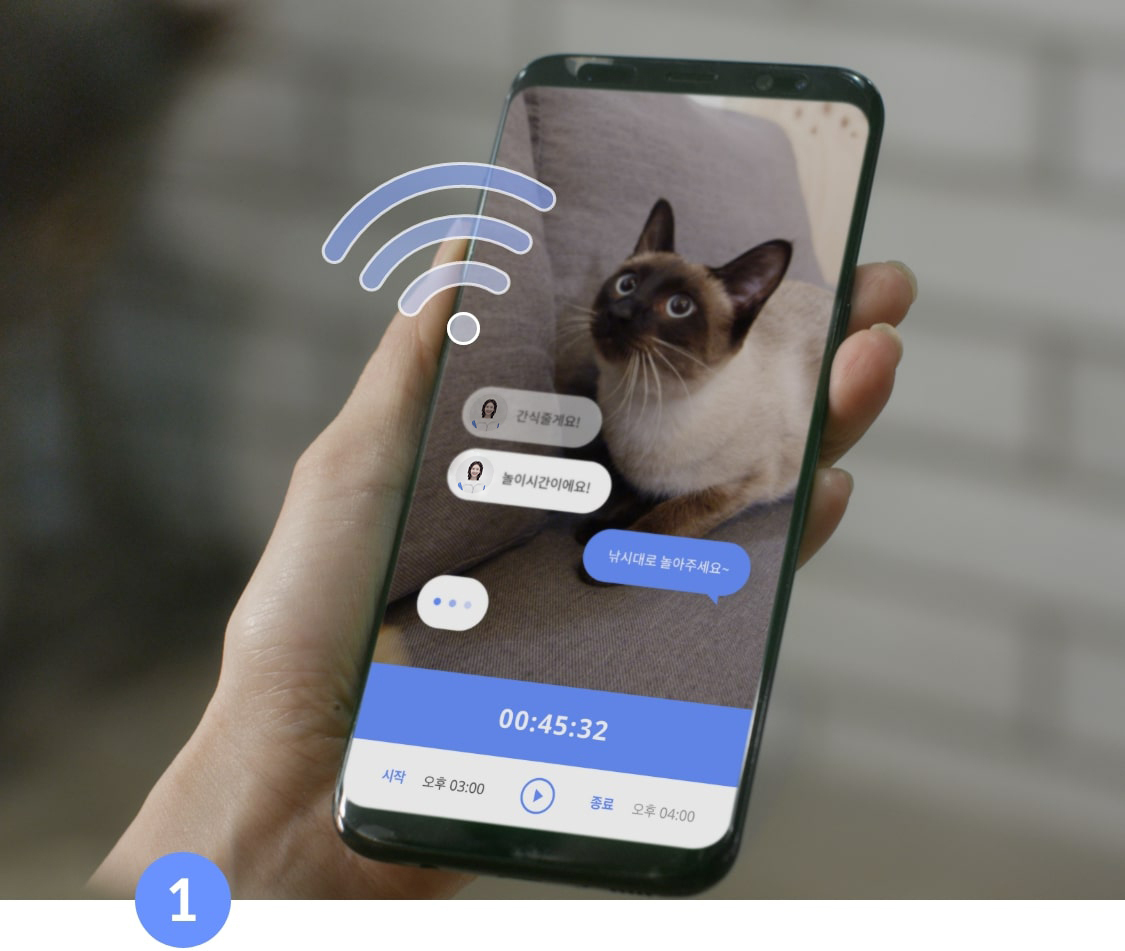 방문탁묘 펫시터 예약하고 고양이를 맡기는 화면