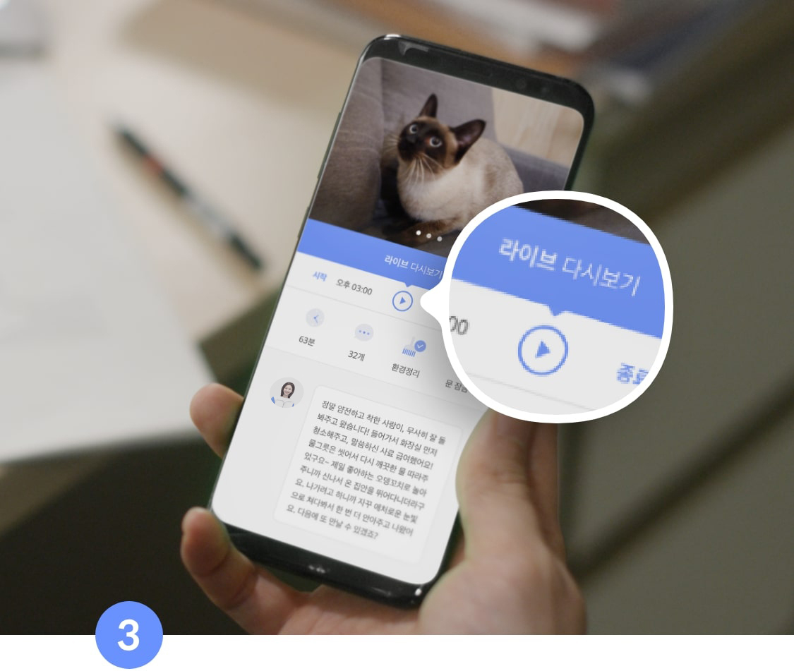 나의 고양이나 강아지가 경험했던 펫시터 서비스를 보는 화면